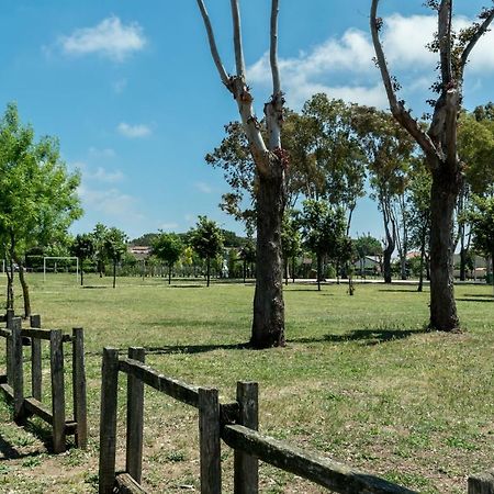 Вілла Alloggio Per Uso Turistico Лідо-дей-Піні Екстер'єр фото
